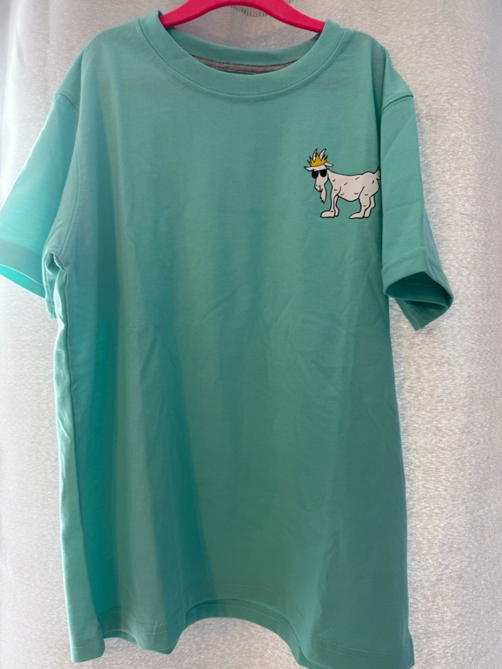 GOAT USA Lot - purple sweatshirt & mint tee-shirt. - Picture 3 of 4